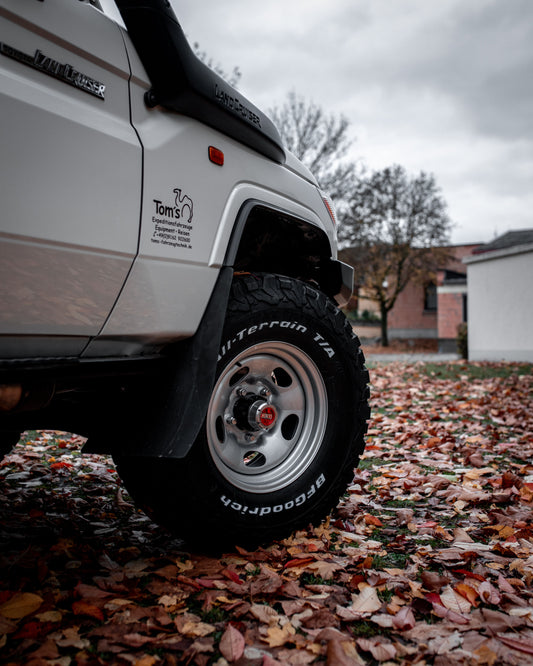 Stahlfelge auf Worldcruiser 1